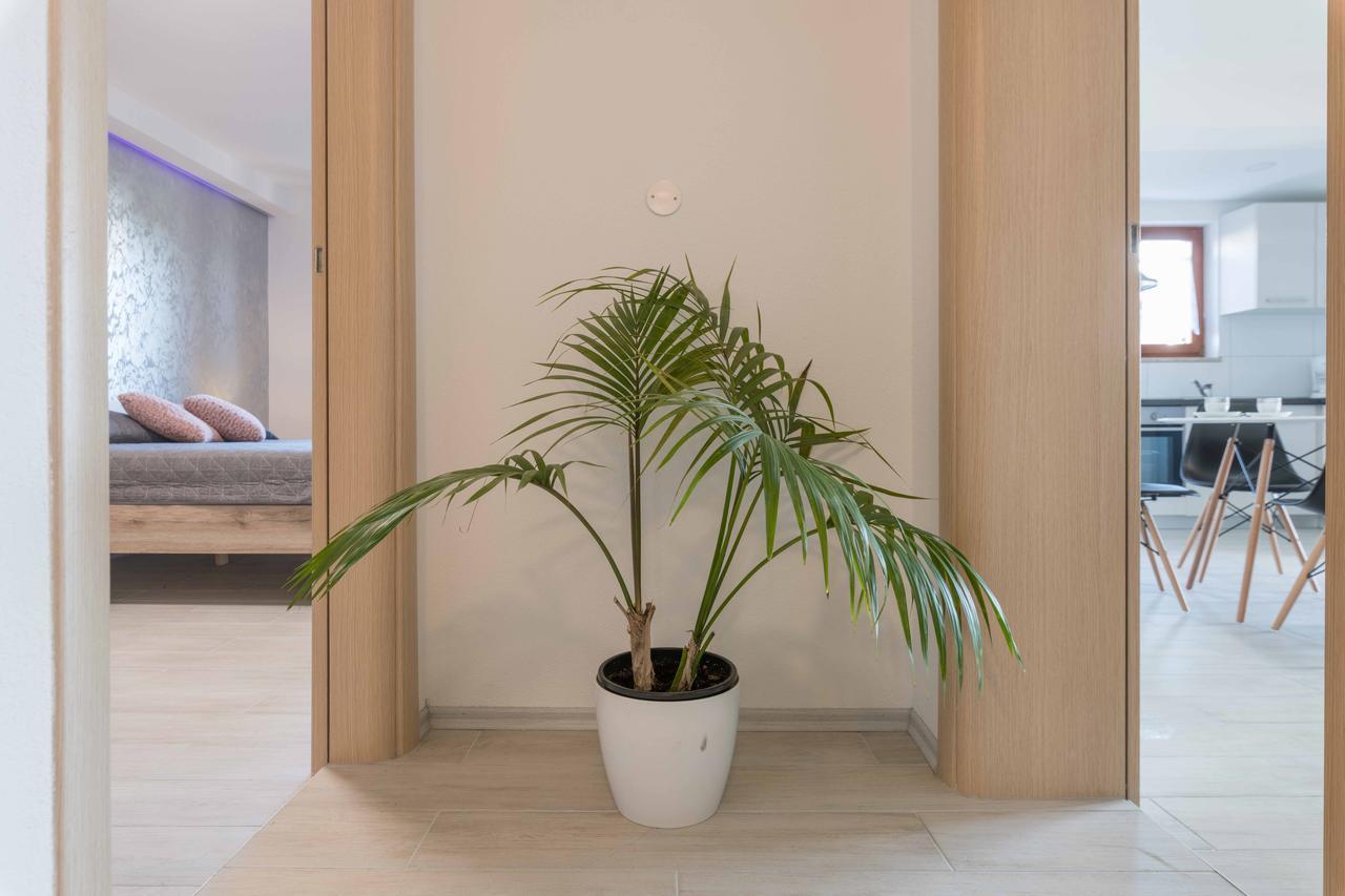 Apartments Villa Tre Marie โรวีน ภายนอก รูปภาพ